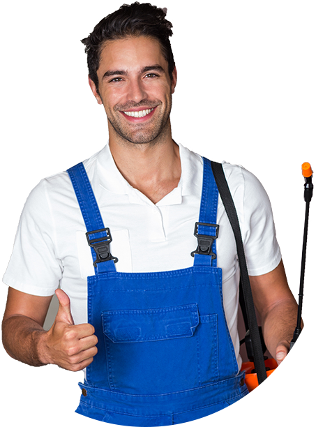 Pest Control Melbourne